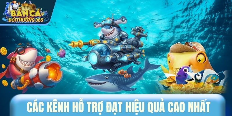 SUNWIN - Cổng Game Bắn Cá Đổi Thưởng Không Thử Là Tiếc Các kênh hỗ trợ đạt hiệu quả cao nhất