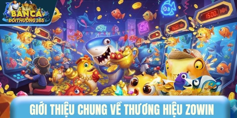 Giới thiệu chung về thương hiệu ZOWIN